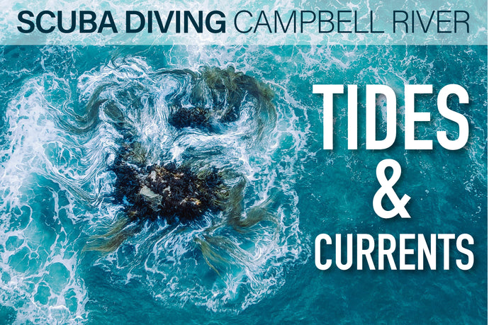 Scuba Diving Campbell River - Tides & Currents Explained